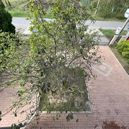 Magnolia Apartment Zemun